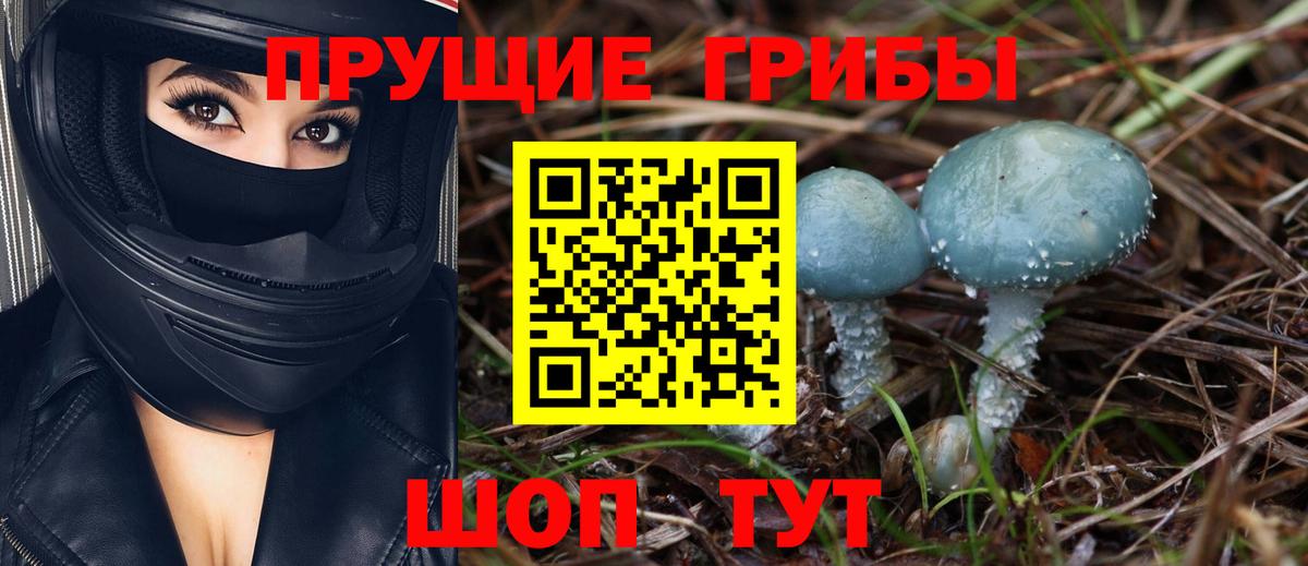 Галлюциногенные грибы Psilocybine cubensis Южноуральск