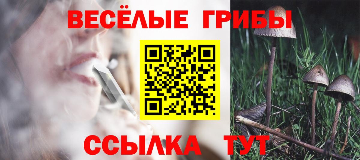 Южноуральск  Псилоцибиновые грибы мицелий  Вход с VPN 